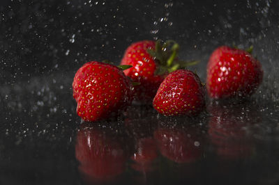 Close-up of strawberries during rainy season