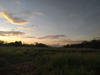 Scenic view of field against sky during sunset