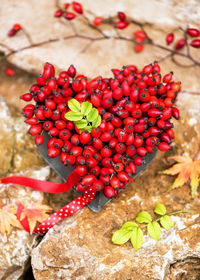 Handmade floral arrangement in heart shape creating with red rose hips on stone background. 