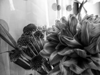 High angle view of flowering plants on table at home