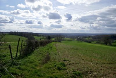 Scenic view of agricultural field against sky