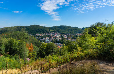 Trees and townscape against sky