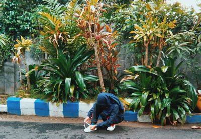 Rear view of man sitting on footpath against trees