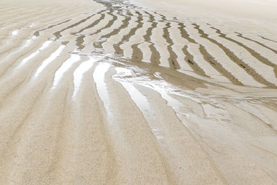 Tire tracks on sand dunes at beach