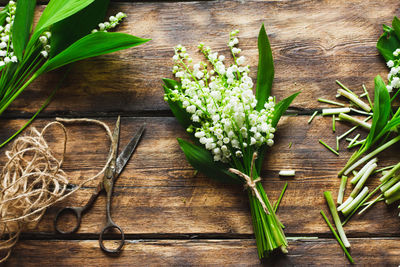 High angle view of flowering plants on table