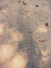 High angle view of footprints on beach