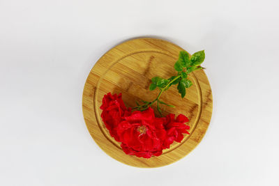 Close-up of red leaves on white background