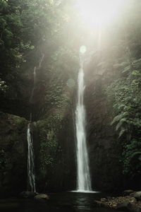 View of waterfall in forest