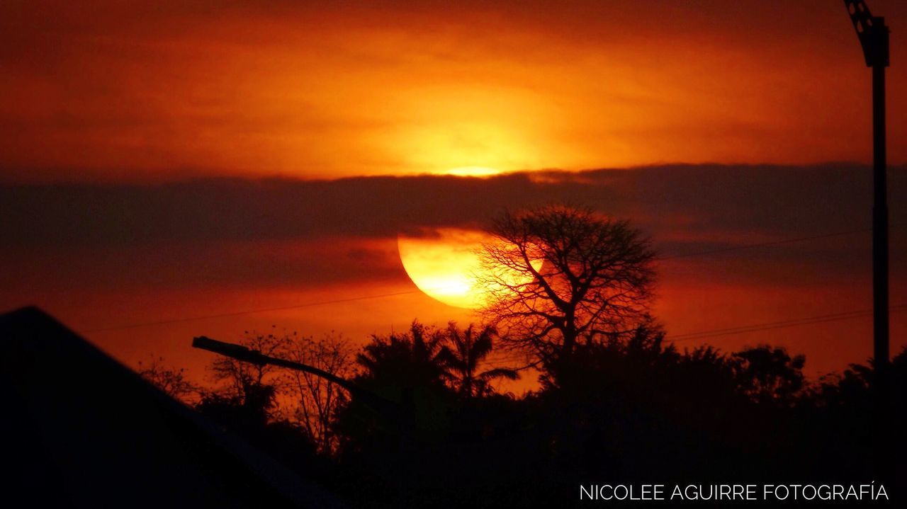 sunset, silhouette, tree, nature, beauty in nature, sky, orange color, scenics, no people, sun, tranquility, outdoors, cloud - sky