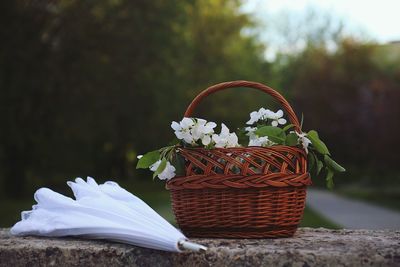 Close-up of flower in basket