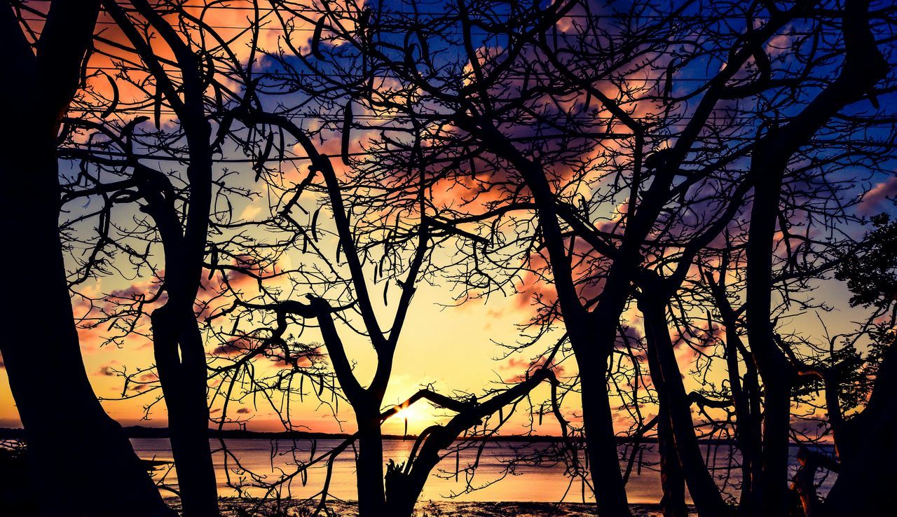 sunset, silhouette, bare tree, tree, branch, orange color, tranquility, scenics, beauty in nature, tranquil scene, sky, nature, tree trunk, idyllic, water, sun, outdoors, majestic, dusk, no people