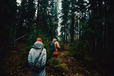 Rear view of man in forest