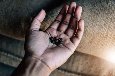 Close-up of hand holding roasted coffee beans against sacks