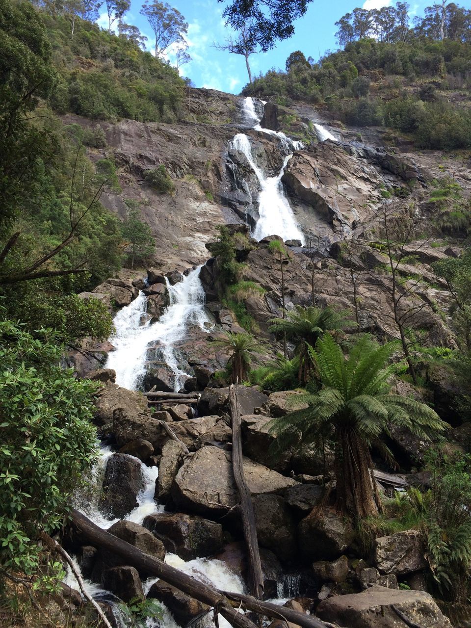 water, waterfall, rock - object, flowing water, beauty in nature, scenics, nature, motion, tree, forest, flowing, rock formation, long exposure, tranquil scene, tranquility, growth, stream, plant, rock, idyllic