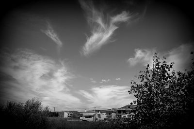 Silhouette of trees against cloudy sky