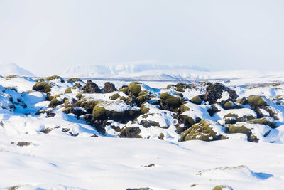 Scenic view of snow covered mountain against clear sky