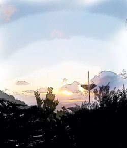 Silhouette of trees against sky at sunset