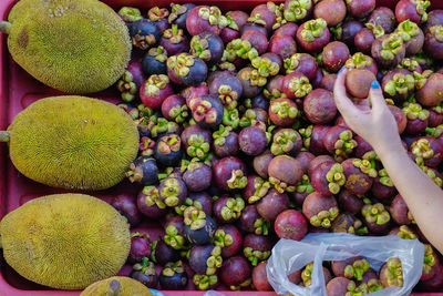 High angle view of woman buying mangosteen and jackfruits at market stall