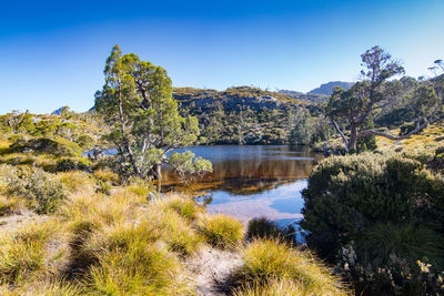 Landscape at cradle mountain-lake st clair national park