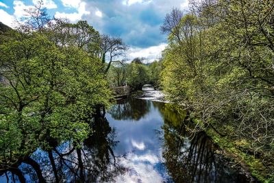 Scenic view of river amidst trees against sky