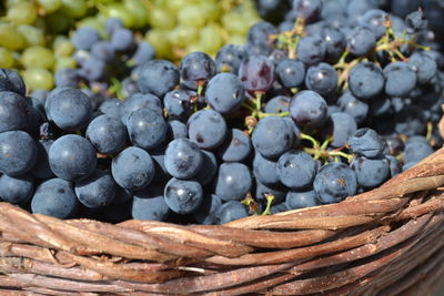 Close-up of blueberry in basket