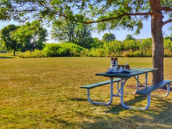 Woman sitting on bench in park