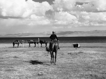 Horses on field against sky