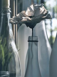 Close-up of white flower in glass vase