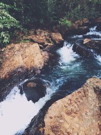 Stream flowing through forest