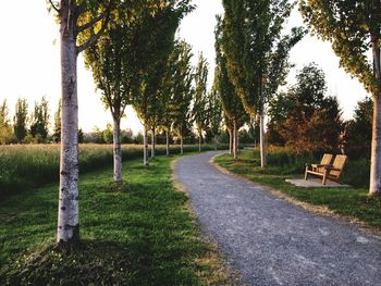 Trees on landscape against sky
