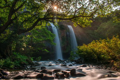 Scenic view of waterfall in forest