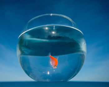 Close-up of crystal ball