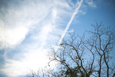 Low angle view of tree against sky