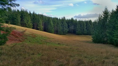 Scenic view of landscape against sky