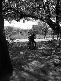 Man cycling on bicycle against trees