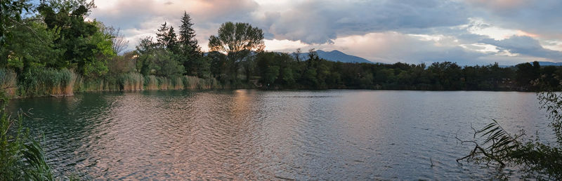 Reflection of trees in calm lake