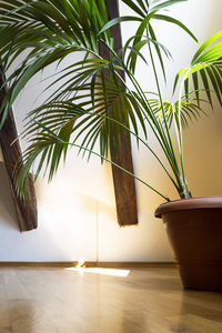 Potted plant on table