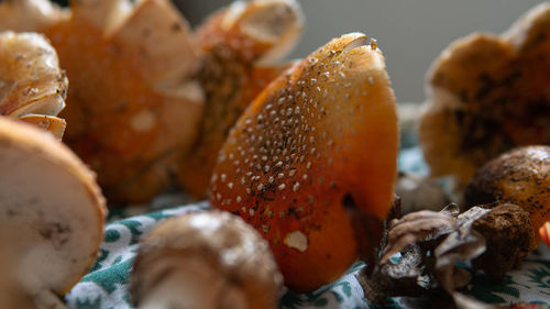 Close-up of mushrooms