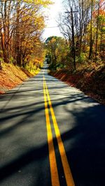 Empty road along trees