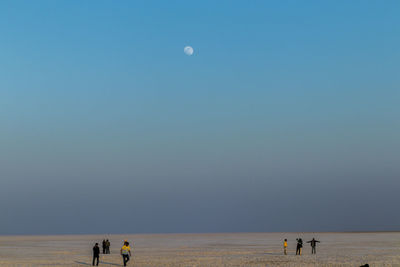 People at beach against clear blue sky