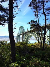 View of bridge in city