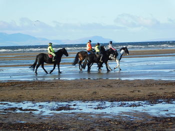 Men riding horses on beach against sky