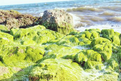 Scenic view of rocks in sea