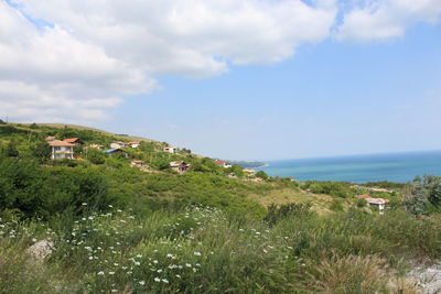 Scenic view of grassy field and sea against sky
