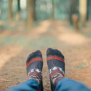 Low section of person in forest