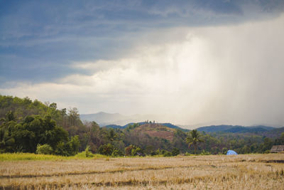 Scenic view of field against sky