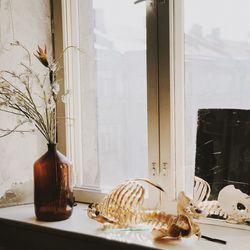 Human skeleton on window sill