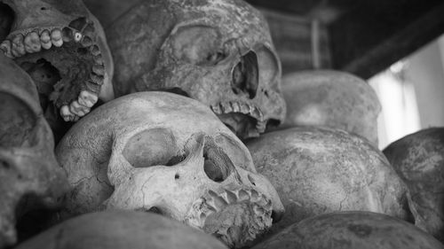 Close-up of human skulls