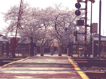 Street amidst trees and buildings against sky