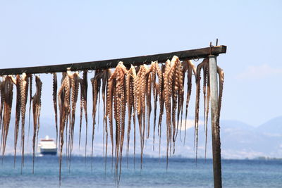 Clothes drying on beach against clear sky